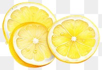 PNG Lemon grapefruit slice plant transparent background