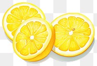 PNG Lemon grapefruit slice plant transparent background