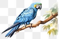 PNG Parrot animal bird blue. AI generated Image by rawpixel.