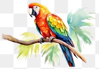 PNG Parrot animal bird  