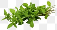 PNG Herbs vegetable plant food transparent background