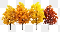 PNG Outdoors nature plant maple. AI generated Image by rawpixel.