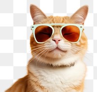 PNG Sunglasses mammal animal pet. AI generated Image by rawpixel.