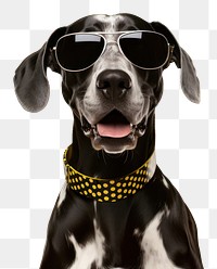 PNG Sunglasses pointer animal mammal transparent background