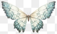 PNG Butterfly animal insect fairy. AI generated Image by rawpixel.