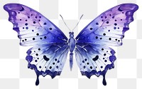 PNG Butterfly insect animal invertebrate. AI generated Image by rawpixel.