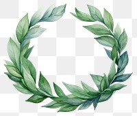 PNG Wreath plant green leaf transparent background