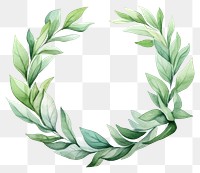 PNG Wreath pattern green plant transparent background