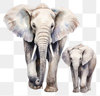 PNG Elephant wildlife drawing animal. AI generated Image by rawpixel.