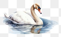 PNG  Animal bird swan reflection. AI generated Image by rawpixel.