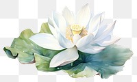 PNG  Blossom flower petal plant. AI generated Image by rawpixel.