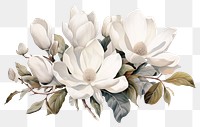 PNG Flower magnolia blossom plant. 