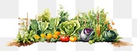 PNG Vegetable garden plant herbs. AI generated Image by rawpixel.