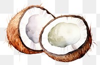 PNG Coconut freshness eggshell clothing. 