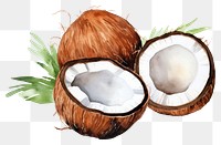 PNG Coconut fruit plant food. 