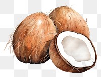 PNG Coconut food freshness eggshell. 