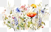 PNG Flower wildflower painting pattern