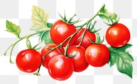 PNG Tomato vegetable cherry fruit. AI generated Image by rawpixel.