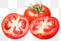 PNG Tomato vegetable plant food. 