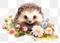 PNG Hedgehog flower mammal animal. 