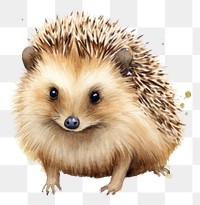 PNG Hedgehog porcupine mammal animal. 