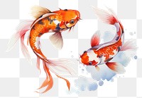 PNG Goldfish animal carp koi.