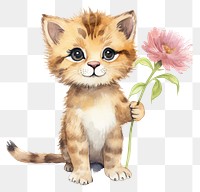 PNG Flower mammal animal kitten. 