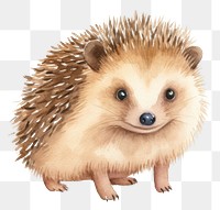 PNG Hedgehog mammal animal cute. 