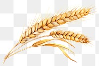 PNG Wheat food agriculture triticale. AI generated Image by rawpixel.