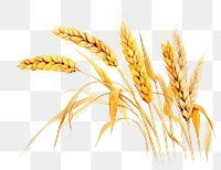 PNG Wheat plant food agriculture. AI generated Image by rawpixel.