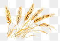 PNG Wheat plant food agriculture. AI generated Image by rawpixel.