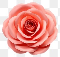 PNG Flower petal plant rose. AI generated Image by rawpixel.