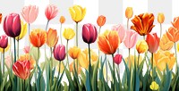 PNG Tulip backgrounds outdoors flower. AI generated Image by rawpixel.