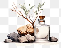 PNG Perfume bottle plant container. AI generated Image by rawpixel.