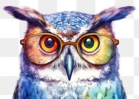 PNG Glasses animal bird owl. 