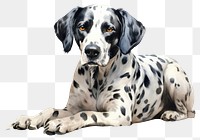 PNG Pet animal mammal dog. AI generated Image by rawpixel.