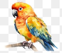 PNG Parrot animal bird creativity. 