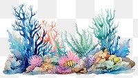 PNG Sea underwater aquarium outdoors. 