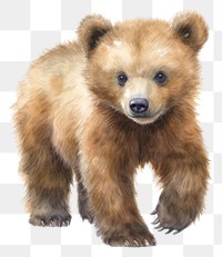 PNG Bear wildlife mammal animal. AI generated Image by rawpixel.