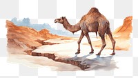 PNG Animal mammal camel wildlife. AI generated Image by rawpixel.