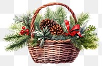 PNG Basket christmas plant tree