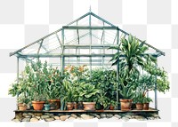 PNG Greenhouse plant gardening outdoors. AI generated Image by rawpixel.