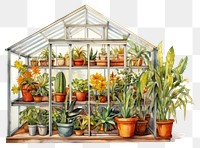 PNG Greenhouse plant gardening architecture. AI generated Image by rawpixel.