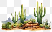 PNG Cactus desert plant  