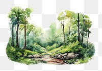 PNG Vegetation landscape outdoors woodland. AI generated Image by rawpixel.