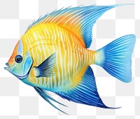 PNG Fish angelfish animal white background. AI generated Image by rawpixel.