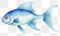 PNG Fish animal white background goldfish. 