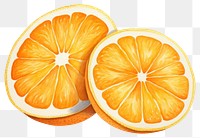 PNG Grapefruit orange slice lemon. 