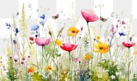 PNG Backgrounds grassland outdoors flower