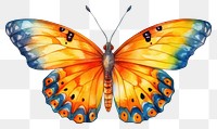 PNG Butterfly insect animal invertebrate. AI generated Image by rawpixel.